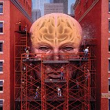 Arquiteto_do_cerebro